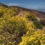 TENERIFFA - TEIDE