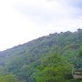 JAMAICA