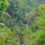 JAMAICA DUNE RIVER FALLS