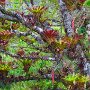 NATUR