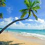 PLAGE DE SALINES