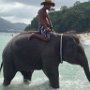 KOH CHANG - DIE ELEFANTEN INSEL